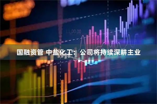 国融资管 中盐化工：公司将持续深耕主业